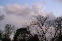 IMG_1442 Clouds and Trees