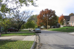 IMG_1732 Street and Trees