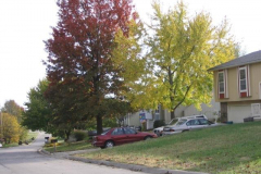 IMG_1739 Neighborhood